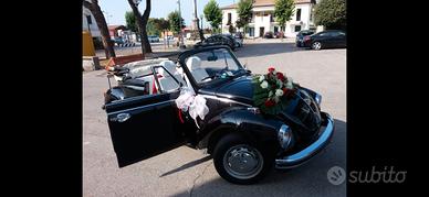 maggiolino 