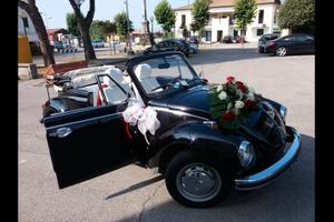 maggiolino 