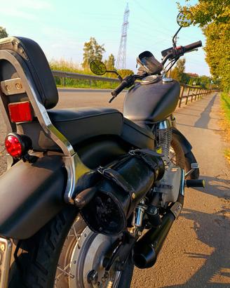 suzuki Savage LS 650 1988 custom