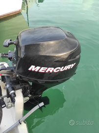 Motore fuoribordo Mercury 8cv
