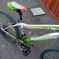 Mountain bike  24  lombardo