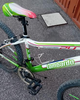 Mountain bike  24  lombardo
