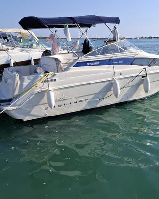 Barca bayliner 26.55