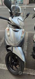 sh 300 sport 2009