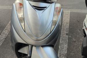 sh 300 sport 2009