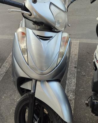 sh 300 sport 2009