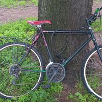 Bici 26 ruote