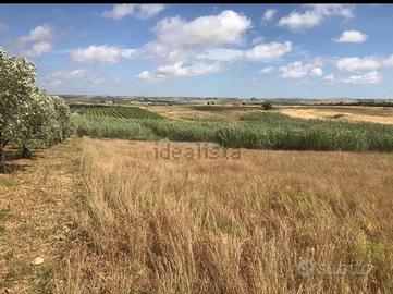 Terreno agricolo Mazara del Vallo