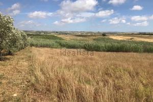 Terreno agricolo Mazara del Vallo