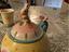 Immagine 4