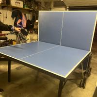 Tavolo ping pong