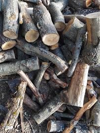 legna secca di bosco