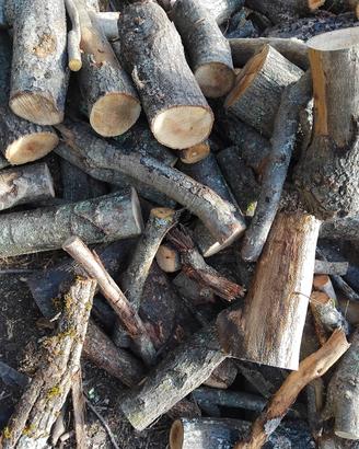 legna secca di bosco