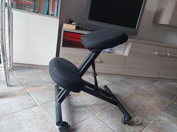 Sedia ergonomica regolabile