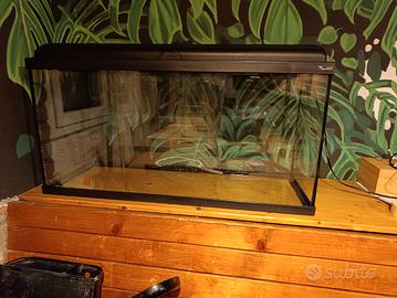 acquario led