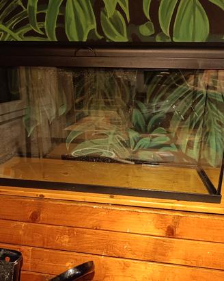 acquario led