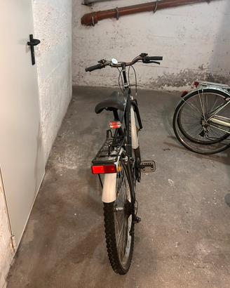 Bici uomo