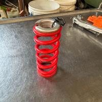 Molla rossa per trial beta