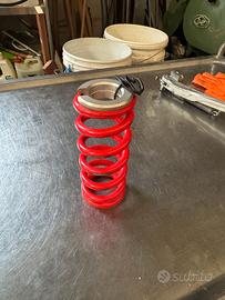 Molla rossa per trial beta