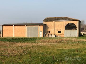 Capannonne ad uso agricolo più Fienile