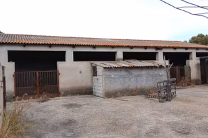 Terreno di 50000 m² a Monti
