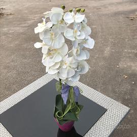 Fiori Artificiali