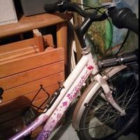 bicicletta ragazza ruota 22