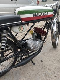 Malanca testa rossa 5 marce 