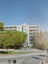 Luminoso appartamento