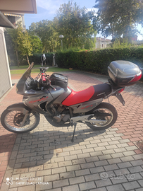 Transalp 650 anno 2001