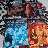WRESTLING ALBUM FIGURINE