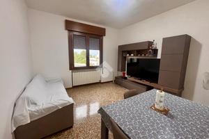 3 LOCALI A MIRANO