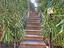 Immagine 19
