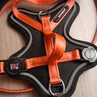 pettorina per gatti MyFamily XS + guinzaglio