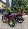 carrozza-marathon-per-cavalli-138-training-corta