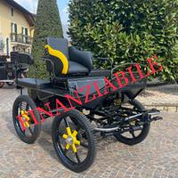 Carrozza marathon per cavalli 138 training corta