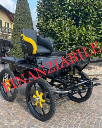 Carrozza marathon per cavalli 138 training corta