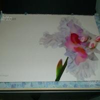 Calendario Pirelli 2004