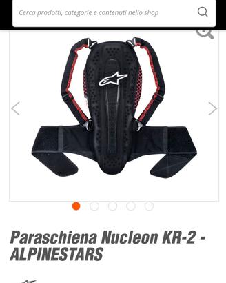 para schiena alpinestars 