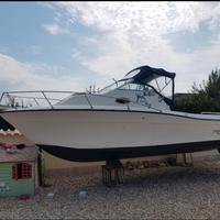 Barca sport craft 23.3 tipo grady white