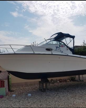 Barca sport craft 23.3 tipo grady white