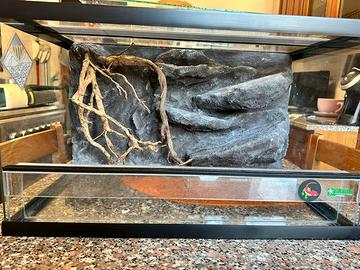 Terrario creas con sfondo 3d