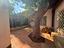 Immagine 16