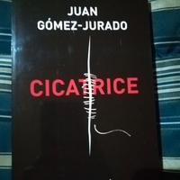 Cicatrice di Gómez-Jurado Juan