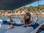 Immagine 15