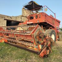 Mietitrebbia fiatagri 3350 AL