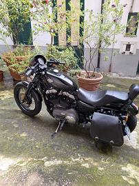 Harley Davidson  nightster 12cc