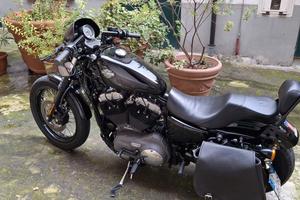 Harley Davidson  nightster 12cc