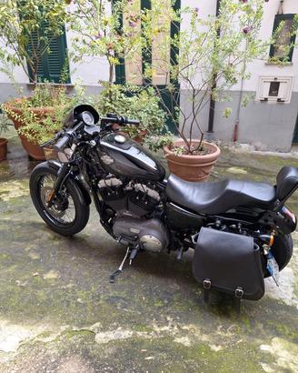 Harley Davidson  nightster 12cc