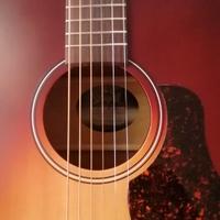 Chitarra Acustica Amplificata